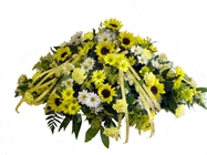 DFS208 Casket  Spray 