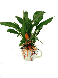 DPI10 Hit a Home Planter  