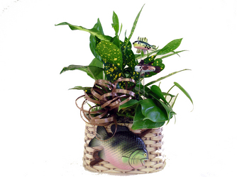 DPI11 Fisherman Dad Planter  