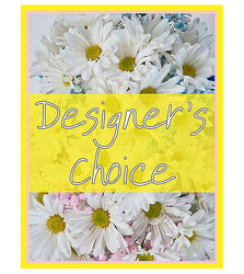 TMF-DCNB Designers Choice - New Baby 