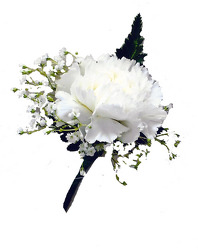 P8 Single Carnation Boutonniere 