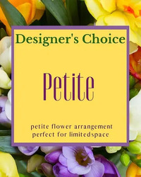 Designer's Choice - Petite Arrangement 