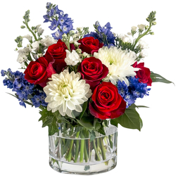 TMF-1872 Fireworks in Bloom