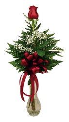 VR1 Single Red Rose in Bud Vase  