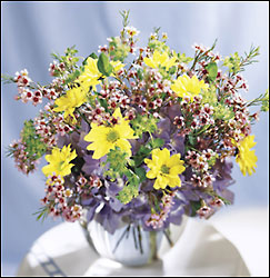 FTD Fresh as a Daisy Bouquet 