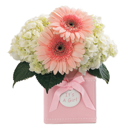 FTD Sweet Dreams Bouquet - Girl 