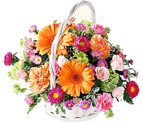 FTD Floral Burst Arrangement 