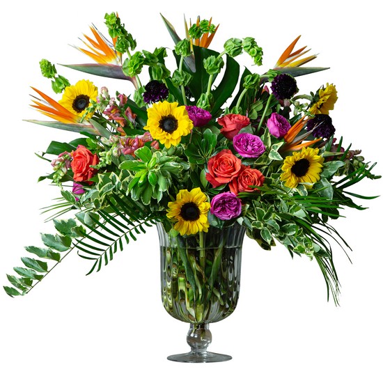 Dundalk Florist Official Site Send Flowers to Dundalk MD and