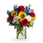 TMF-2075 Starburst  Arr. 