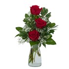 TMF-605 Simply Roses 