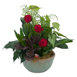TMF-622Dish Garden with Fresh 