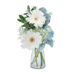 TMF-673 Blue Mist 