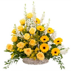 TMF-763 Ray of Sunshine Basket Tribute