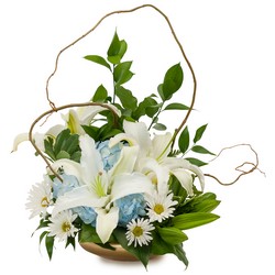 TMF14-279 Lilies in Blue 