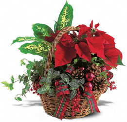 TF102-1A Holiday Planter Basket