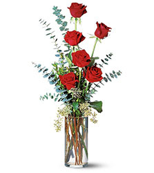 Six Red Roses 